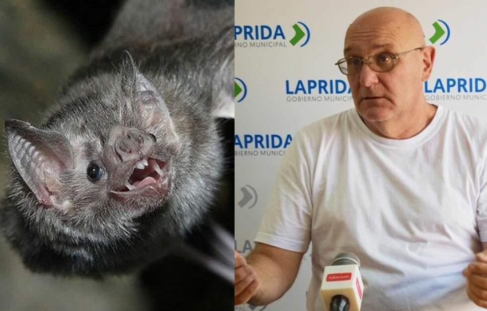 Cristian Torres, director de Bromatología Laprida (Foto: Archivo/Prensa)