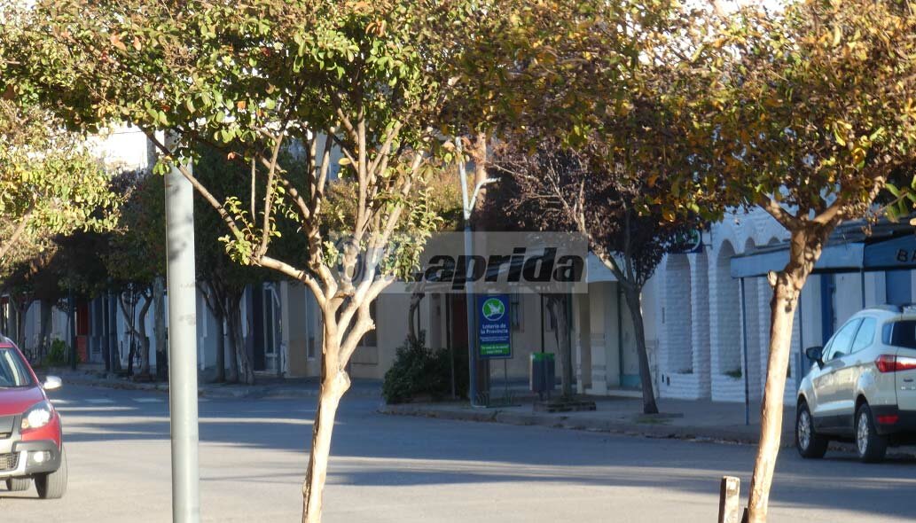 Cómo seguirá el clima en Laprida