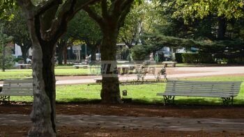 Oh Laprida - Noticias de hoy - El diario digital de Laprida