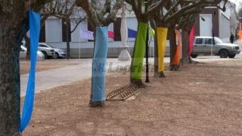 Ajedrez: Empiezan las clases e inscripción en el espacio municipal