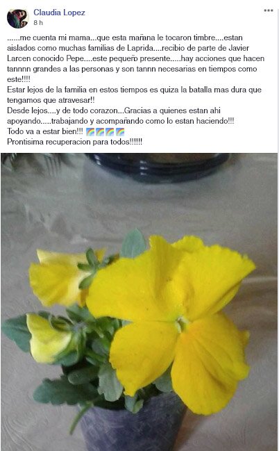 Un vecino llevó plantines a los lapridenses aislados