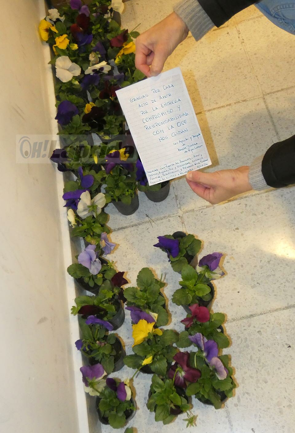 Un vecino llevó plantines a los lapridenses aislados
