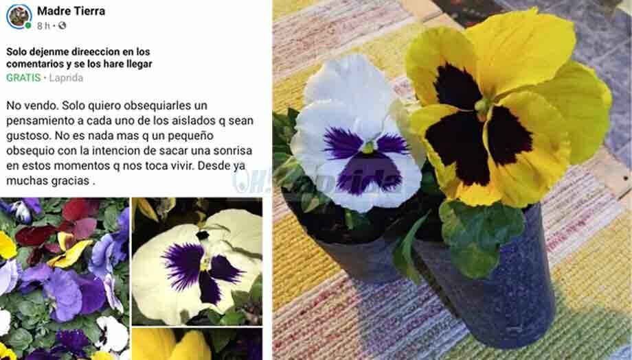 Un vecino llevó plantines a los lapridenses aislados