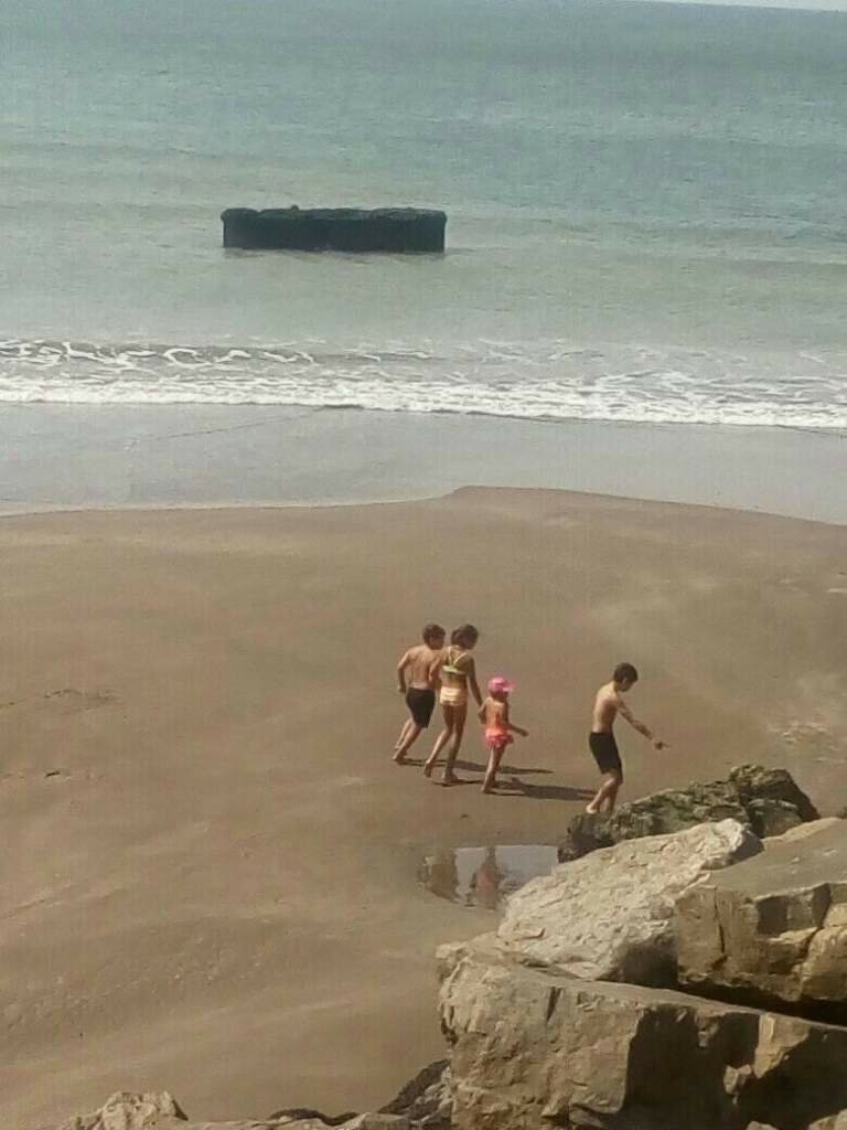 Necochea: naufragio a la vista por una extensa bajamar